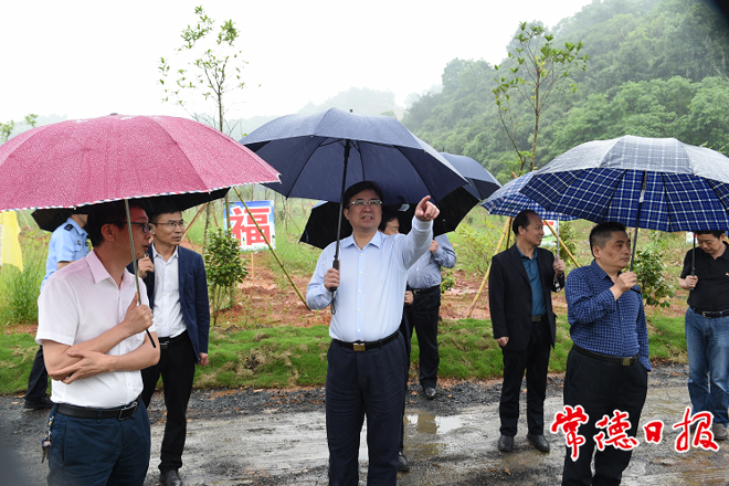 邹文辉赴桃源县督导生态环境问题整改工作：不折不扣抓好生态环境问题整改落实