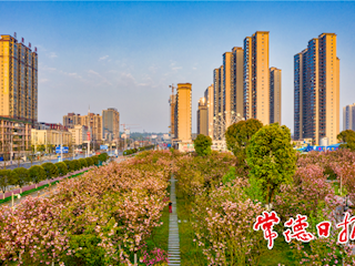 花园里的城市