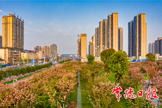 花园里的城市