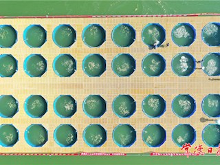 致富棋盘
