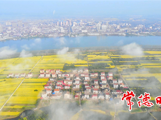 云雾掩映乡村新画卷