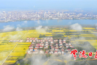 云雾掩映乡村新画卷