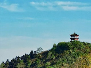双洲公园美景