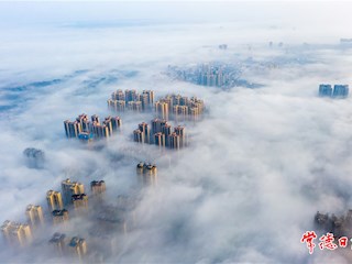仙境之城