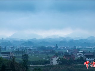 烟雨桃源