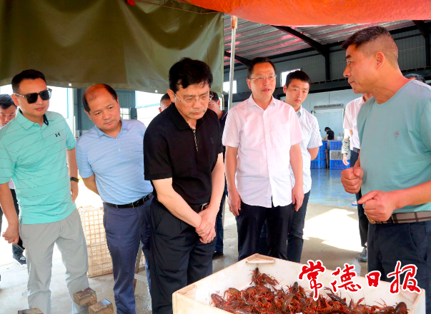 市领导赴安乡调研乡村振兴工作时要求：真正实现农业强、农村美、农民富