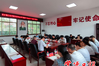 市领导赴安乡县三岔河镇指导党史学习教育时强调：通过党史学习教育弘扬正气激发正能量