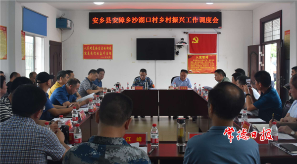 市领导到安乡县调研乡村振兴工作