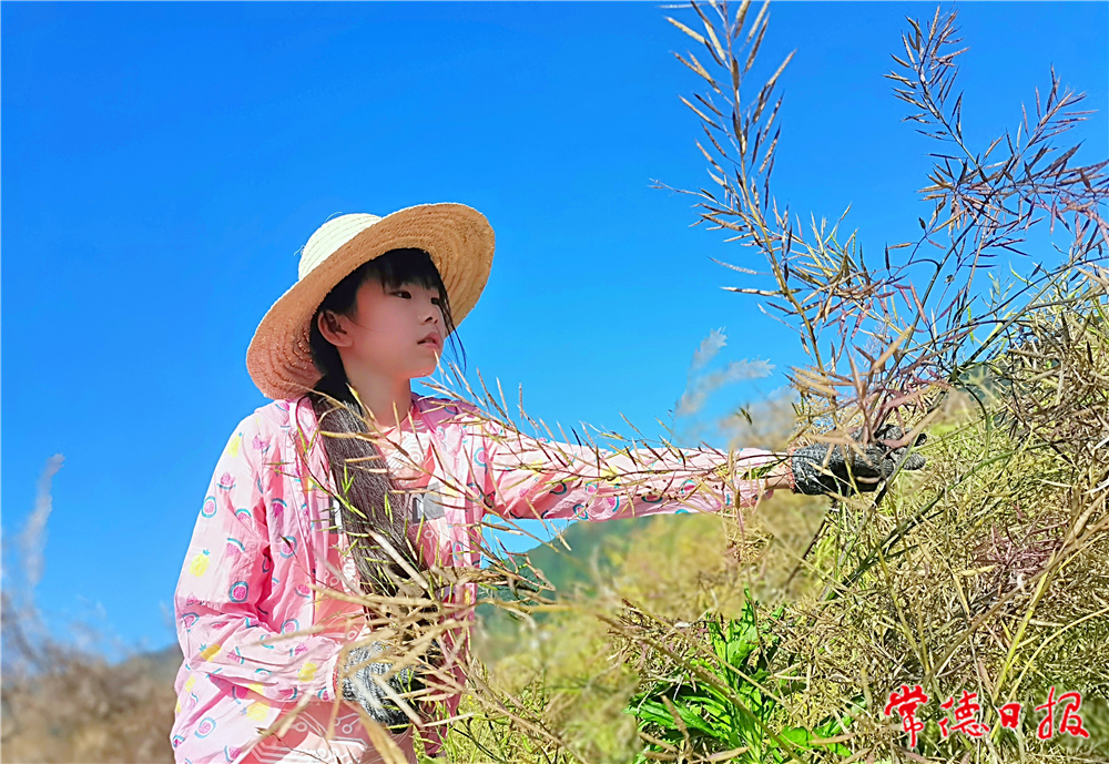 龚红梅-勤劳的小蜜蜂-5-1.jpg