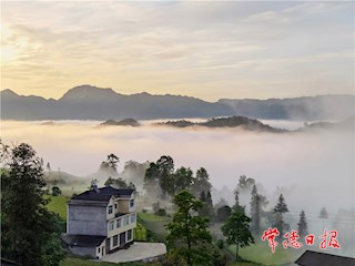 罗坪云海 茶乡美景
