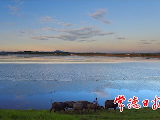 发现常德之美【组图】