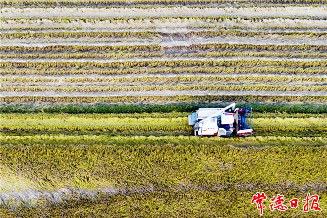 发现常德之美【组图】