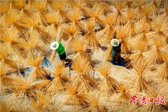 发现常德之美【组图】