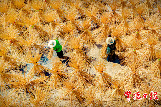 发现常德之美【组图】