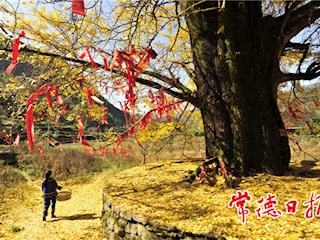 发现常德之美【组图】