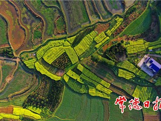 发现常德之美【组图】