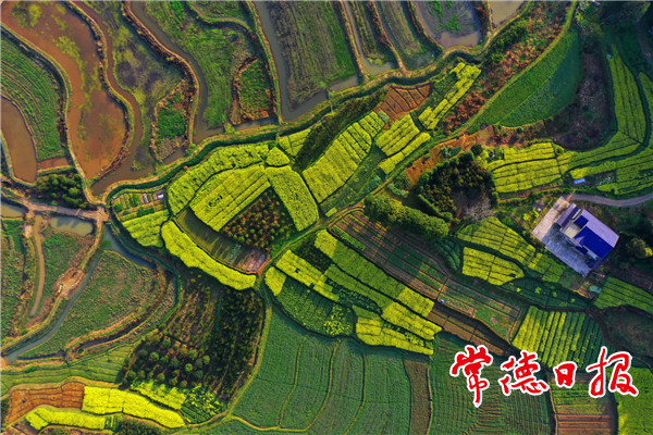 发现常德之美【组图】