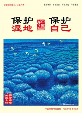 保护湿地 保护自己