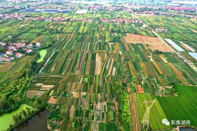 澧县：产业旺 乡村兴