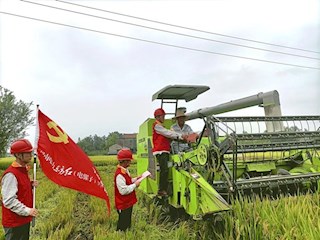 澧县：国网澧县供电公司宣传安全用电常识