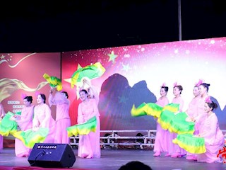 市社会组织联合会文艺晚会热闹喜庆