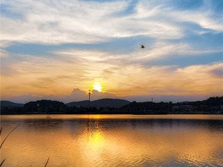 手机摄影┃“高新区杯▪发现常德之美”影像征集大赛第25期
