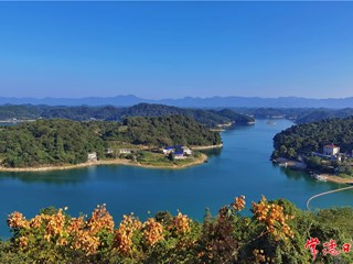 秋【组图】