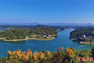 秋【组图】