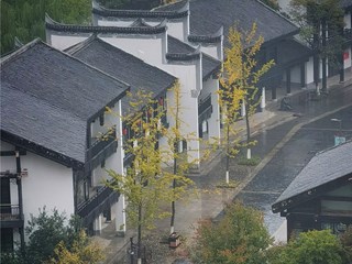 手机摄影┃“高新区杯▪发现常德之美”影像征集大赛第33期作品选登