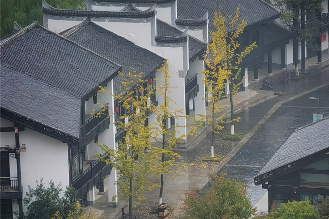 手机摄影┃“高新区杯▪发现常德之美”影像征集大赛第33期作品选登