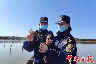 【经济】汉寿产大闸蟹首次出口非洲 外贸实现新突破