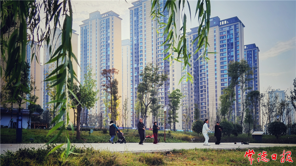 sj朱世奎-晨练-2-1 (1).jpg