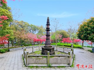 手机摄影┃“高新区杯▪发现常德之美”影像征集大赛第35期作品选登
