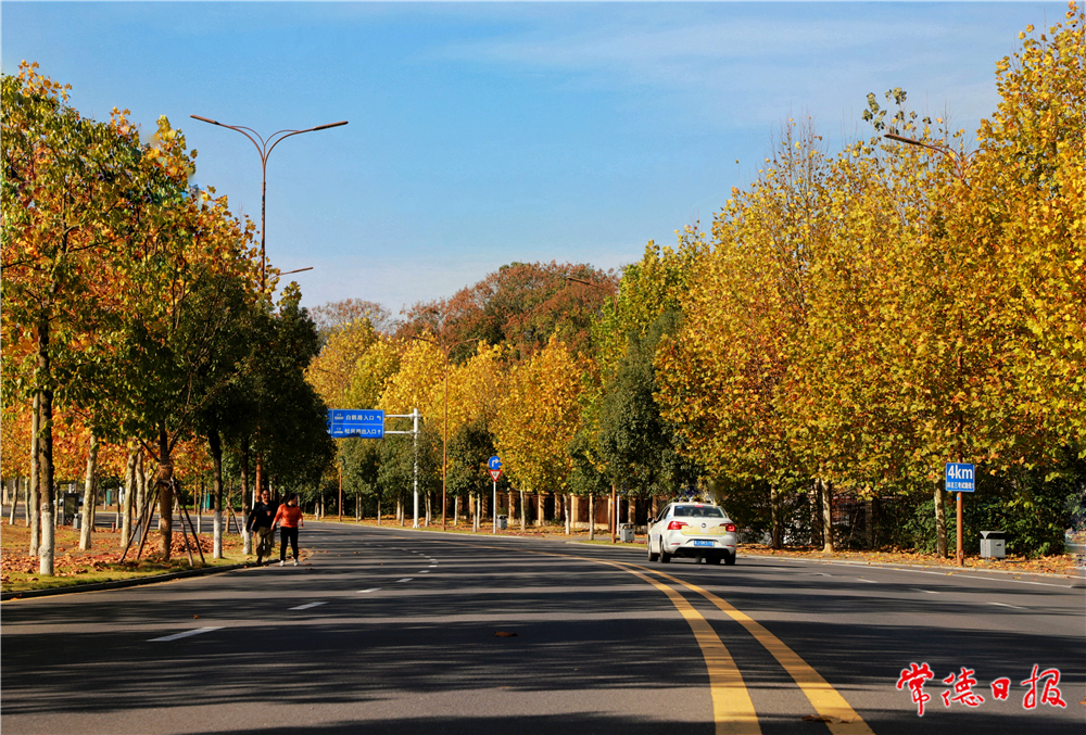 李浩洲-美丽松风路，静谧的水乡-3-1.jpg
