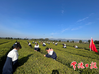 【社会】​茶乡学子的茶艺课