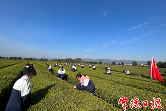 【社会】​茶乡学子的茶艺课