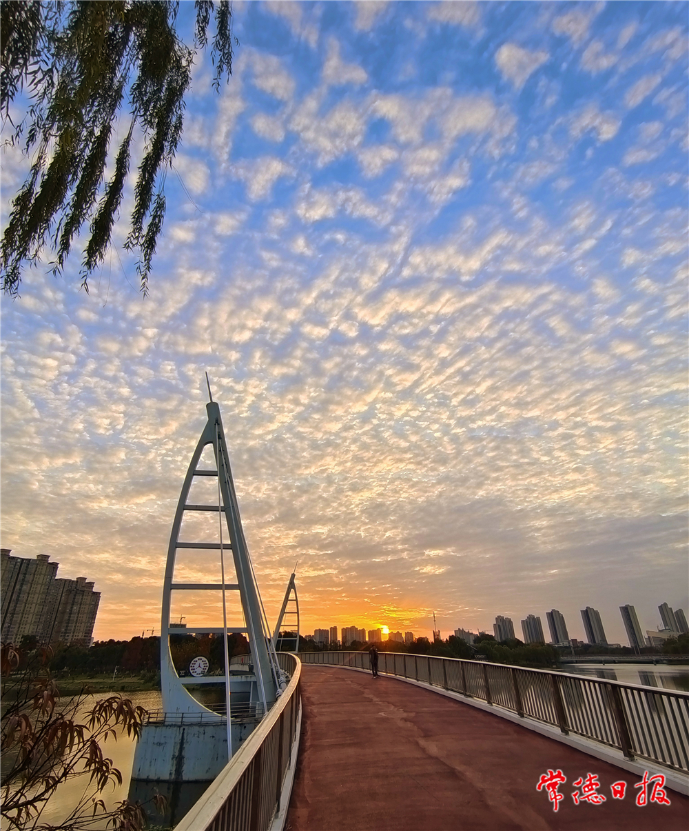 sj邓军-冬日白马湖-2-2.jpg