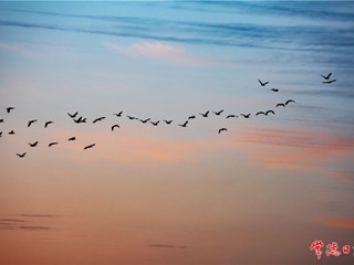 冬日美好【组图】