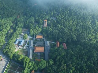 【生态】石门夹山国家森林公园