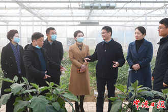 曹志强在柳叶湖旅游度假区调研时指出：大力发展城市经济 把柳叶湖建设得更加靓丽
