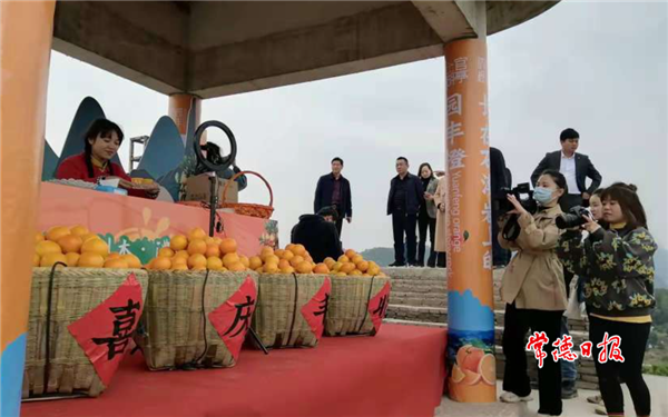 微信截图_20220111181119.png