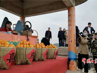 【经济】临澧刻木山乡园丰脐橙喜摘全省金奖