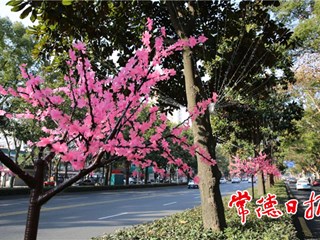【社会】城市亮化年味浓 流光溢彩迎新春