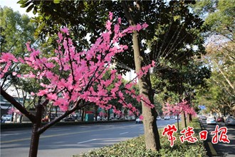 【社会】城市亮化年味浓 流光溢彩迎新春