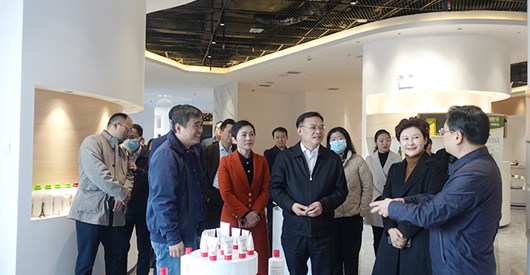 省商务厅来常德调研商务和开放型经济工作