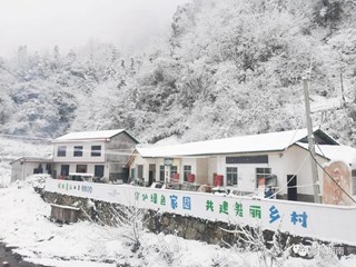 【澧县】瑞雪兆丰年