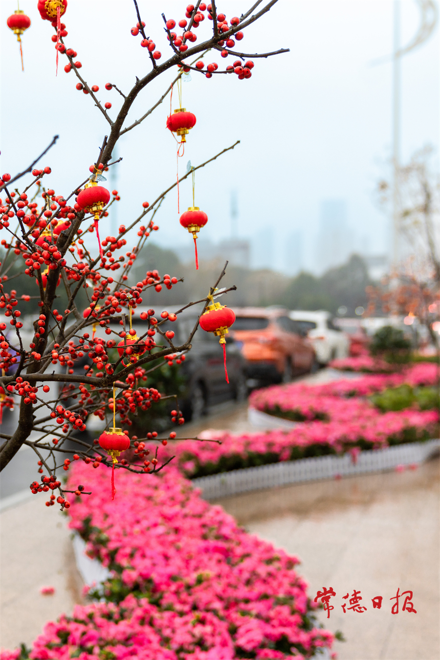 微信图片_20220126111611.jpg
