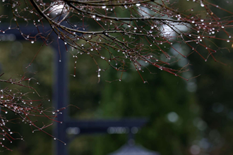 【摄影报道】一场春雪，让这里美出圈