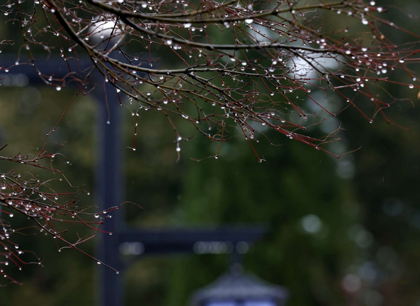 【摄影报道】一场春雪，让这里美出圈