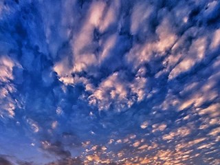 【津市市】澧水河畔
